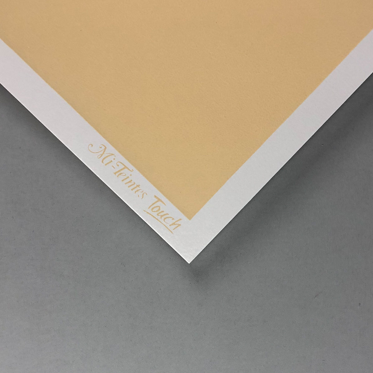 Papier pastel CANSON Mi-teintes touch - 350gr